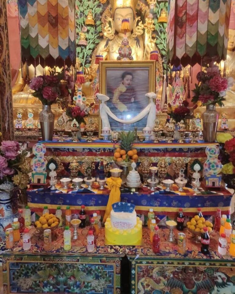 Happy 12th Birthday to H.H Yangsi Mingyur Dechen Garwang Zilnon Dorji Rinpoche
